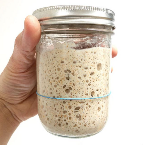 Rosehill Sourdough Starter